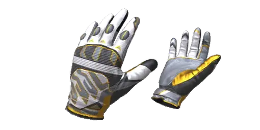 Gloves Champion